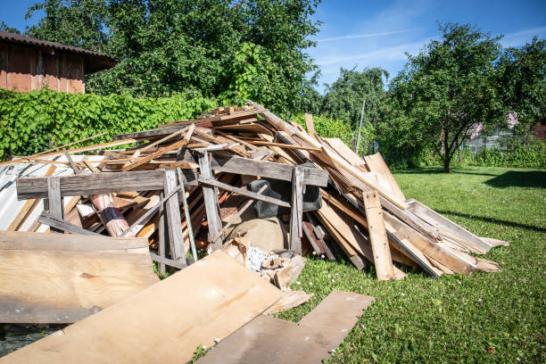 Best Shed Removal  in Lopezville, TX